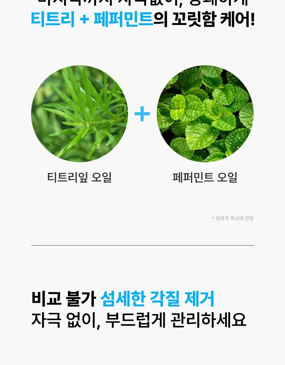 [NEW] 닥터빼 꿀꿈치 패치 1set * 4매 상세페이지 35